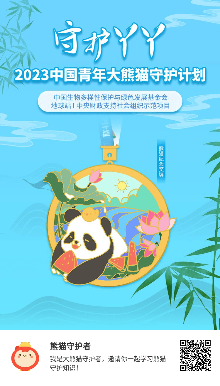 大熊猫守护计划_网络实物线报
